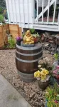 Pam's Little Italy Hotels in Rutland