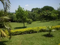 Complete farm in São Pedro, DISCOVER THE BEST IN SÃO PEDRO