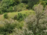 EcoFarmstayNZ Retro-style cottage Hotels in Porirua