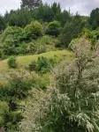 EcoFarmstayNZ Retro-style cottage