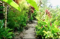 Welcome to our beach front eco-friendly home in Bocas De Toro! Hotels in 