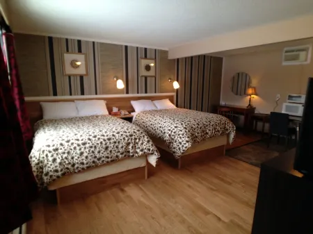 Galaxy Motel Отели в г. Сейнт Пол