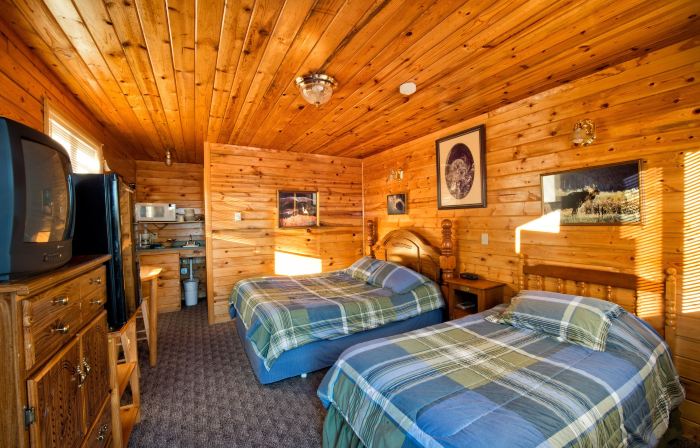 Wild Skies Cabin Rentals in Craig