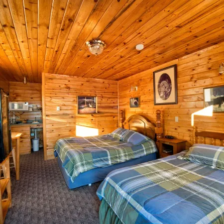 Wild Skies Cabin Rentals in Craig