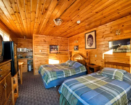 Wild Skies Cabin Rentals in Craig Hotels in Craig