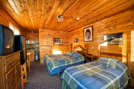 Wild Skies Cabin Rentals in Craig