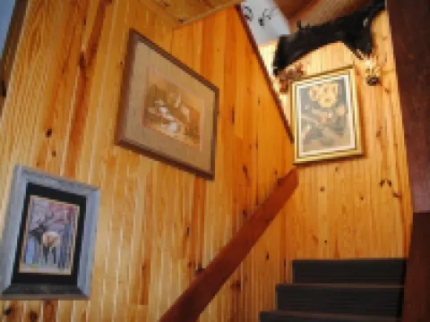 ReWild Ranch LLC Hoteles en Condado de Custer