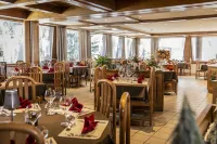 Hôtel Alpina - Swiss Ski & Bike Lodge Grimentz Hotels in Zinal