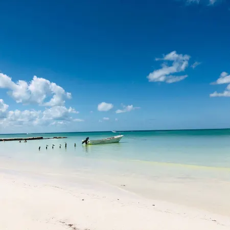 Beachfront Hotel la Palapa - Adults Only