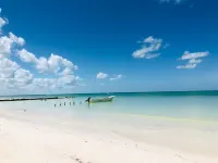 Beachfront Hotel la Palapa - Adults Only - Ocean View