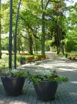 Koidulapark Hotell