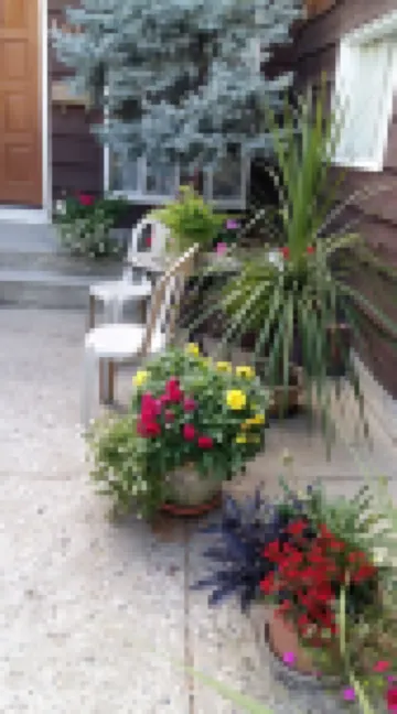 Wild Rose Bed & Breakfast فنادق في 