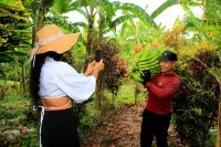 나투라 가든 갈라파고스 호텔  호텔