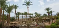 Oonas Dive Club