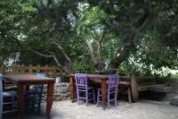 Assos Akropol Pansiyon - 2-Star