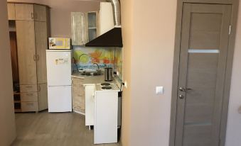 Apartment on Primorskogo Komsomola