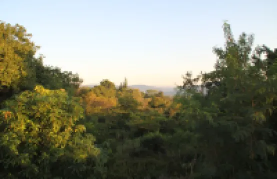 Safari Bed & Breakfast