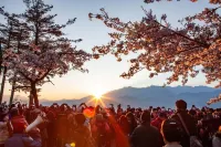 嘉義阿里山神木賓館
