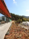 Gwangyang Lake Island Glamping