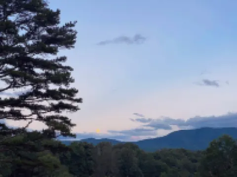 Cozy King Apt Suite w/ Fire Pit & Mountain Views
