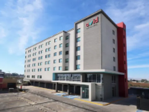 avid hotel Guadalajara Aeropuerto Norte Hoteles en San Pedro Tlaquepaque