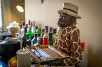 Darwin's Townhouse - bar