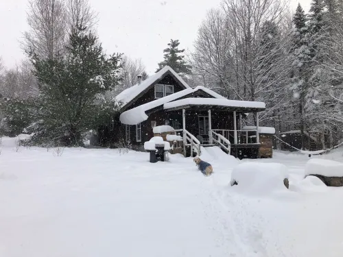 Chalet-7 Min to Ski Stratton-Woodstove-Firepit-Brook on Property-Views-Dogs OK Hotels in Jamaica