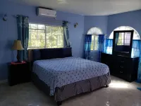 Affordable vacation room rentals in beautiful Jamaica. Hotels in 
