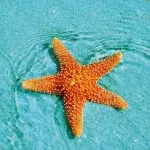 Star of the South - Favara AG Hotels in Favara