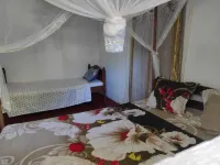 Maison Meublé au Coin du Paradis