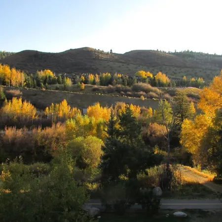 Renovated Condo, Avon Colorado, River Views and walk to Beaver Creek Shuttle