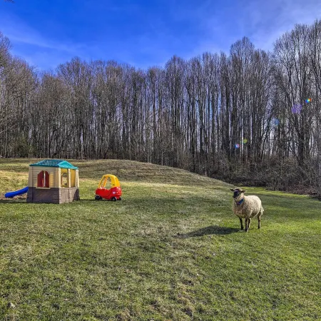 Pet-Friendly Home w/ Grill & Farm in Meadowview!