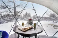 Unique, Fun, and Modern Queen Dome - 2 Queen Beds. Loft Accessed by Ladder.