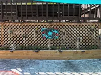 Private 2 BR Lower-Level Retreat Woods & Wildlife, within 10 min of Wis Dells Hotels in Dell Prairie