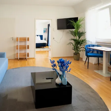 Blue whale, stylish apartment, living room, bedroom, bathroom, kitchen, central in Ulm