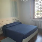 THE OLIVE TREES GARDEN HOUSE Hotels in Seravezza