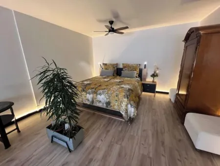 Budahome in the Black Forest