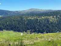 Quiet new chalet ideal for discovering the ardéche and haute loire regions Hotels in Lanarce