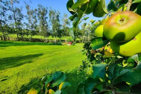 Rowantree Cottage One-Bedroom Apartment Отели в г. Дромор