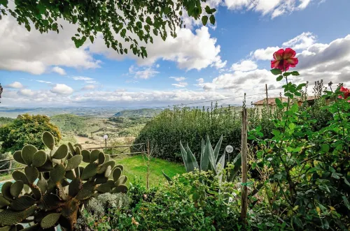 The Granary - Farmhouse La Fattoria