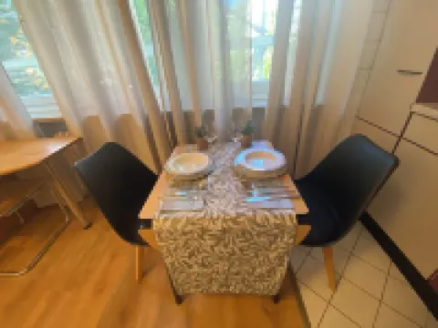 Business & Travel Apartment walking distance to city center