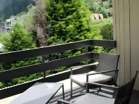 The Flaming Kiwi Backpackers - Mountain view