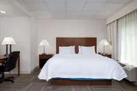 Hampton Inn Ft. Chiswell-Max Meadows