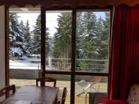 Ground floor apapartment in Chamrousse