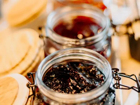 Ibis Sofia Airport Hotel