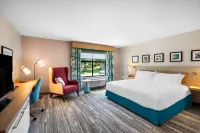 Hilton Garden Inn North Conway Hotels in Carroll County