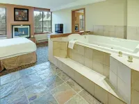 Mountain Side Hotel Whistler by Executive Hotels near Garbanzo Express