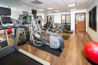 Holiday Inn Express & Suites BELLEVUE (OMAHA AREA) by IHG - Gym