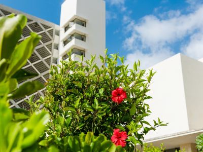 施設外観 ホテルリゾネックス名護の写真