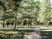Modern Braddon Studio with Parking